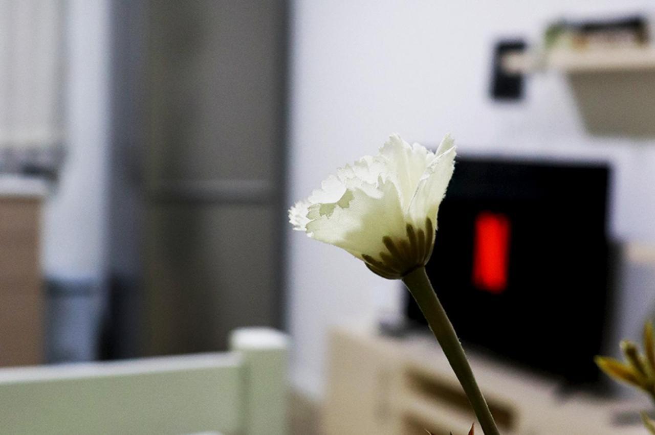 Euonia Apartment Tirana Zewnętrze zdjęcie